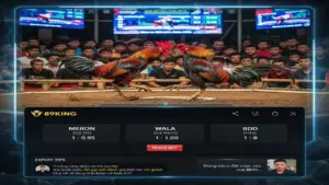 Luật Đá Gà Cựa Sắt Thomo 89king: Hướng Dẫn Chi Tiết Và Chiến Thuật Cược Đỉnh Cao